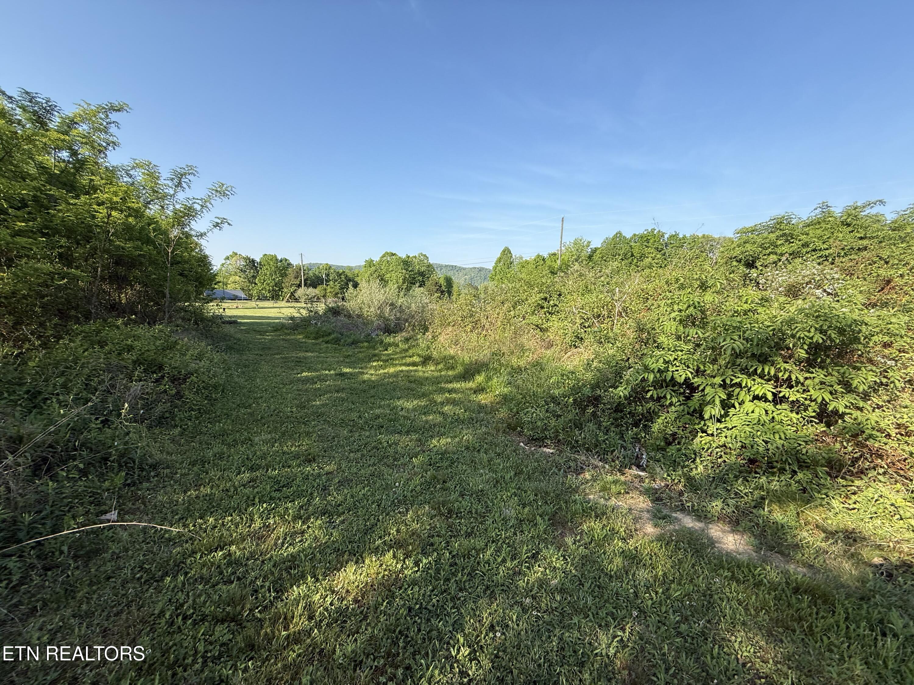 Racoon Lane Pioneer TN 37847