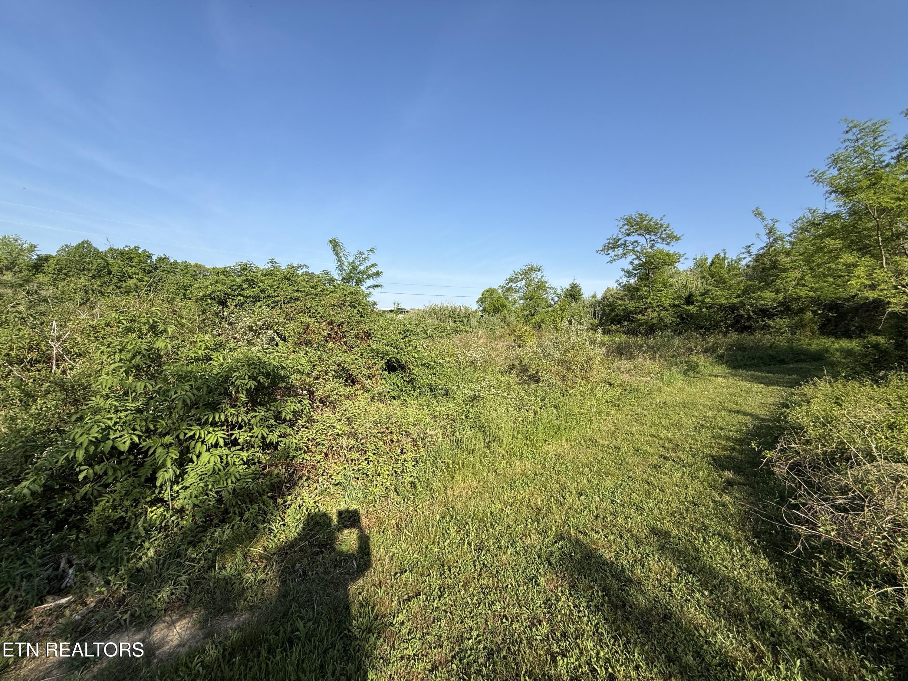Racoon Lane Pioneer TN 37847