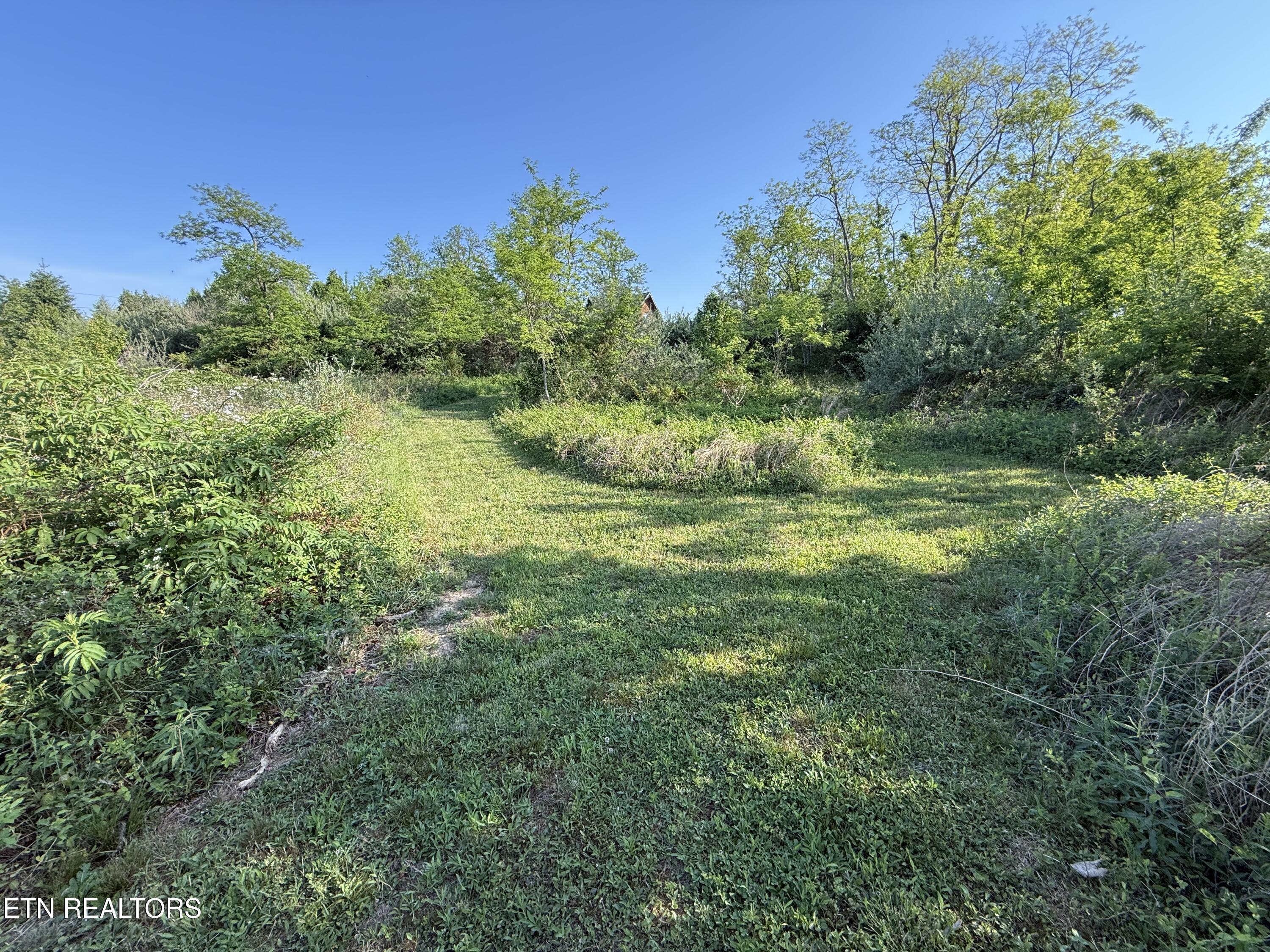 Racoon Lane Pioneer TN 37847