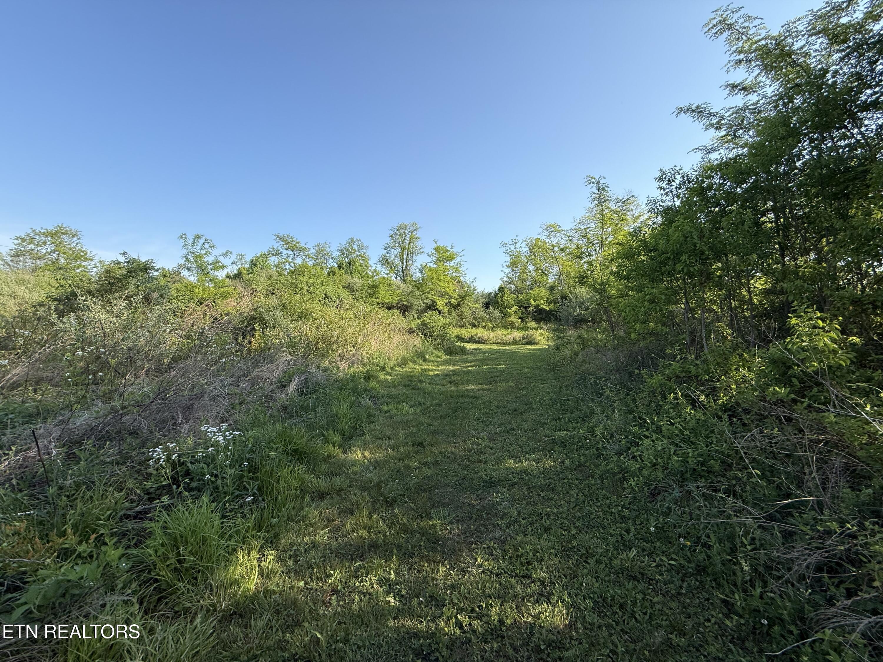 Racoon Lane Pioneer TN 37847