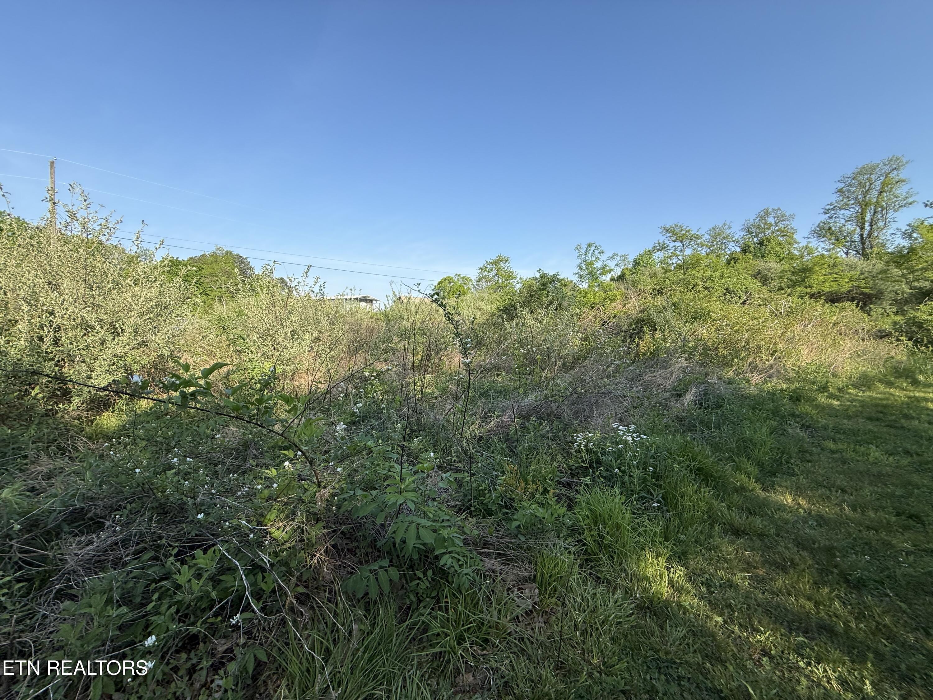 Racoon Lane Pioneer TN 37847