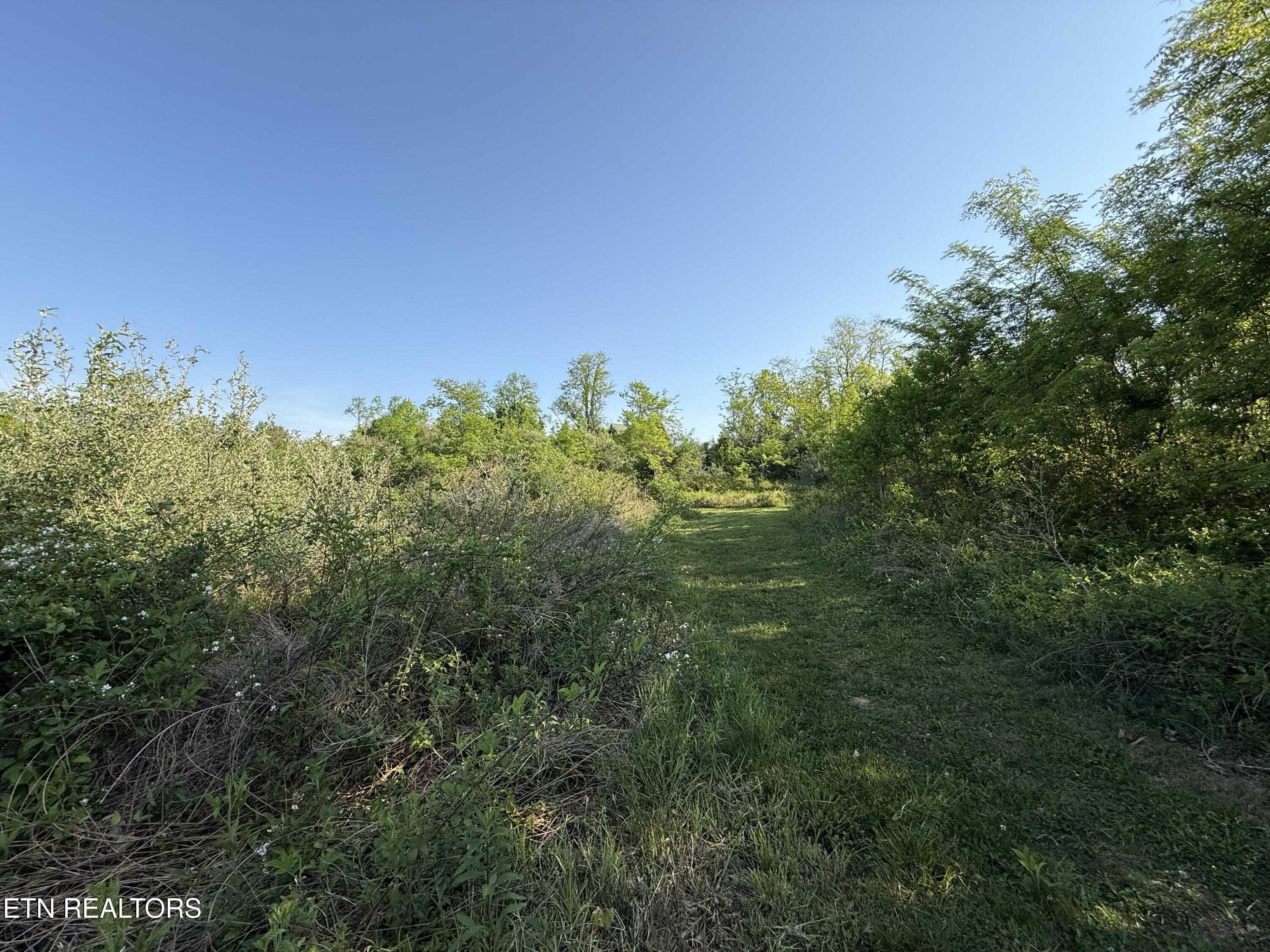 Racoon Lane Pioneer TN 37847