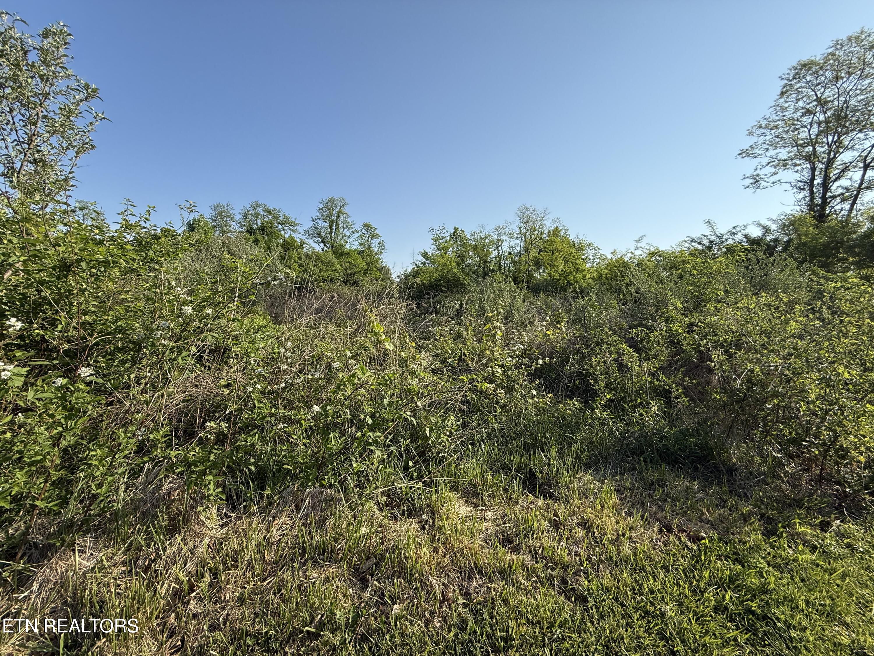 Racoon Lane Pioneer TN 37847