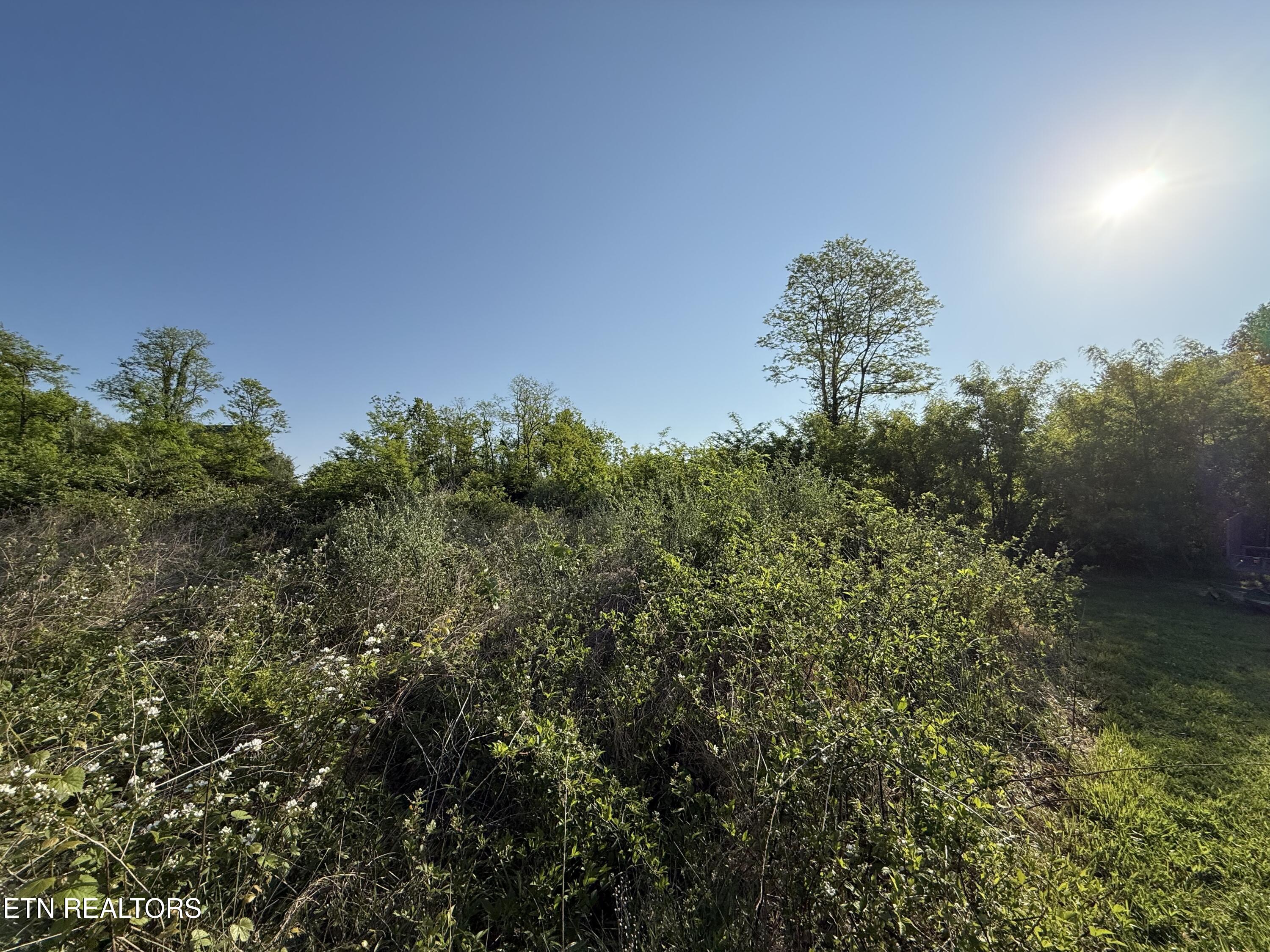 Racoon Lane Pioneer TN 37847