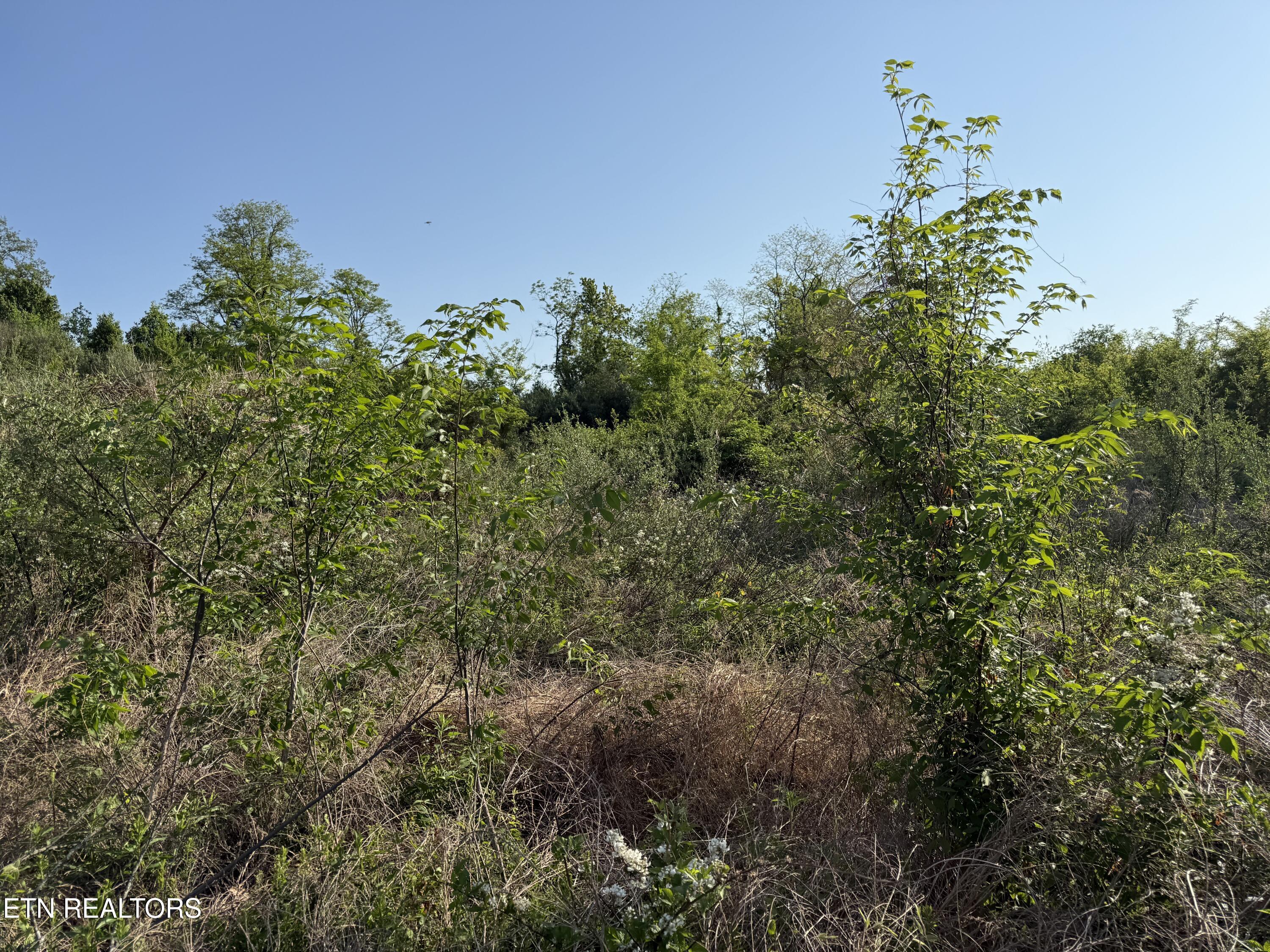 Racoon Lane Pioneer TN 37847