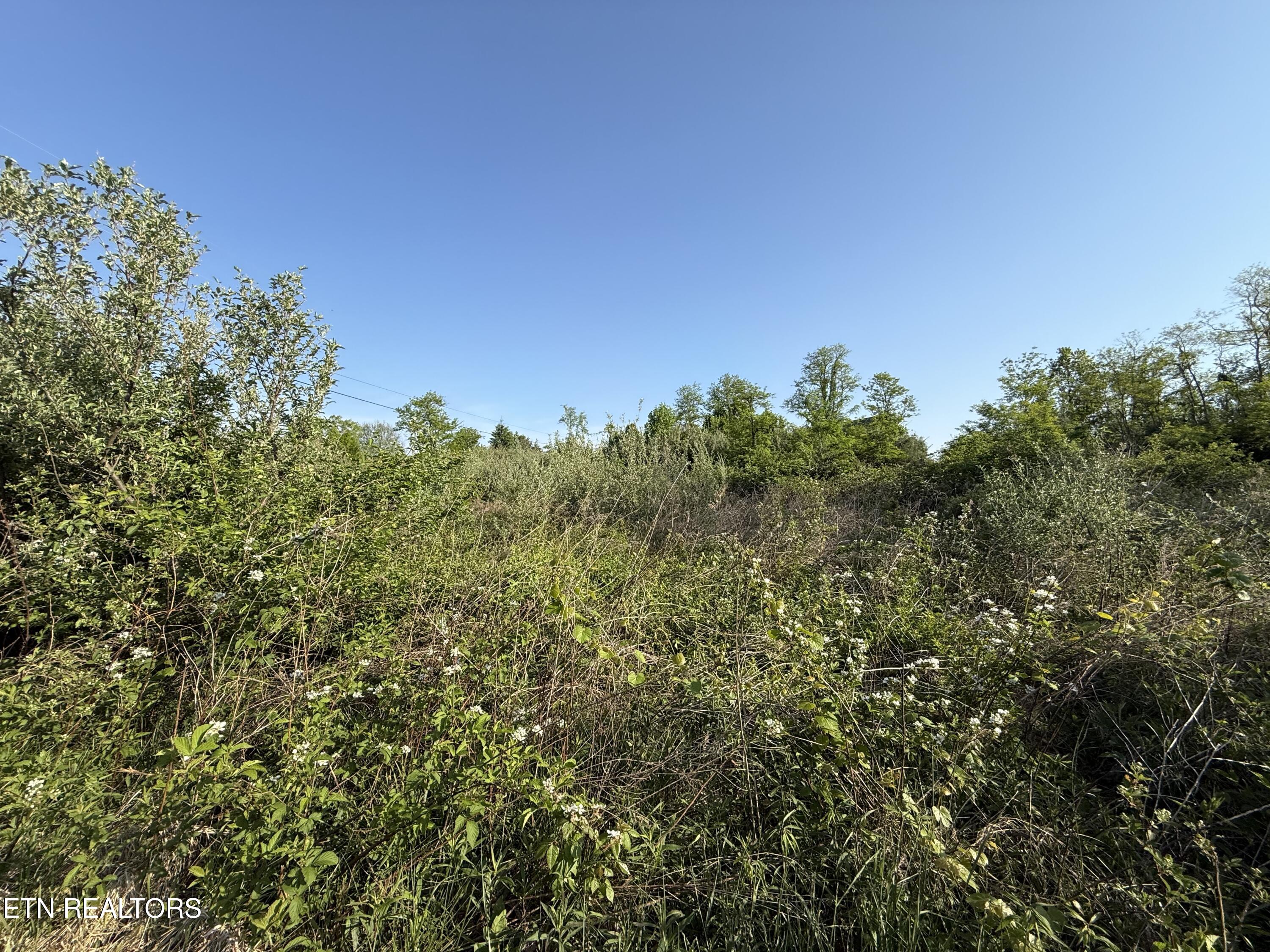 Racoon Lane Pioneer TN 37847