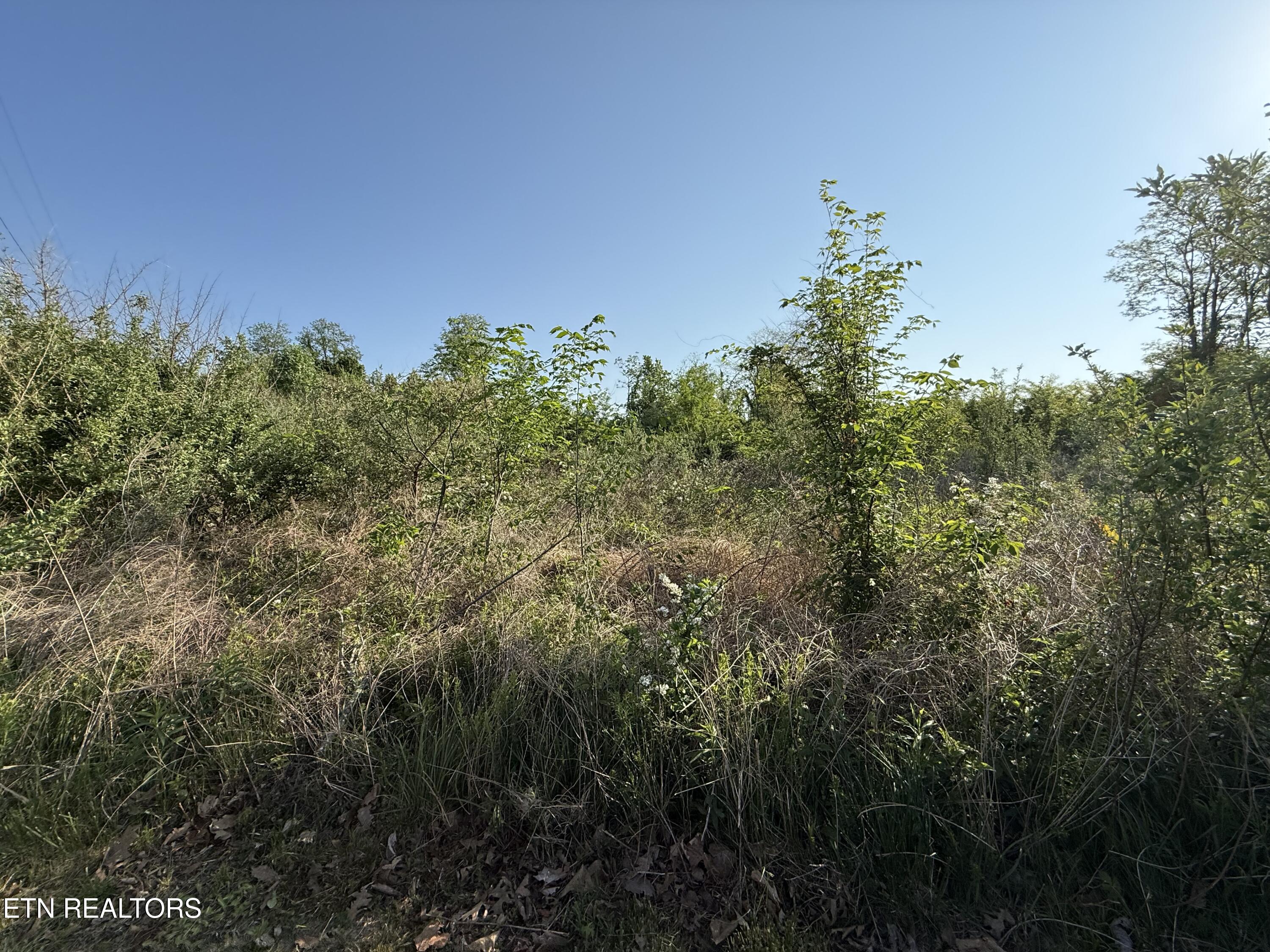 Racoon Lane Pioneer TN 37847