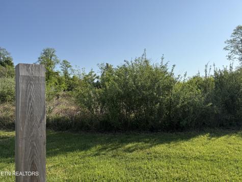 Racoon Lane Pioneer TN 37847