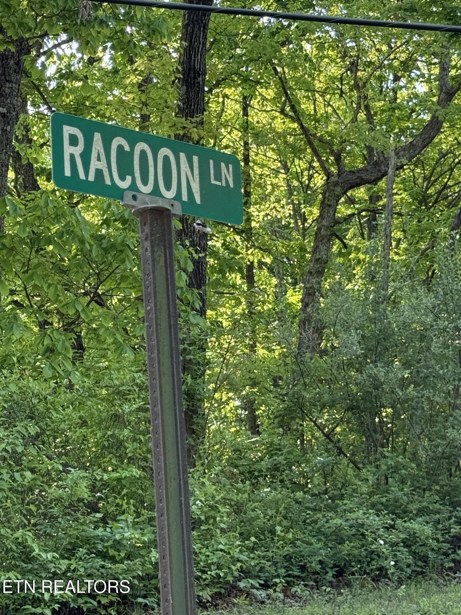 Racoon Lane Pioneer TN 37847
