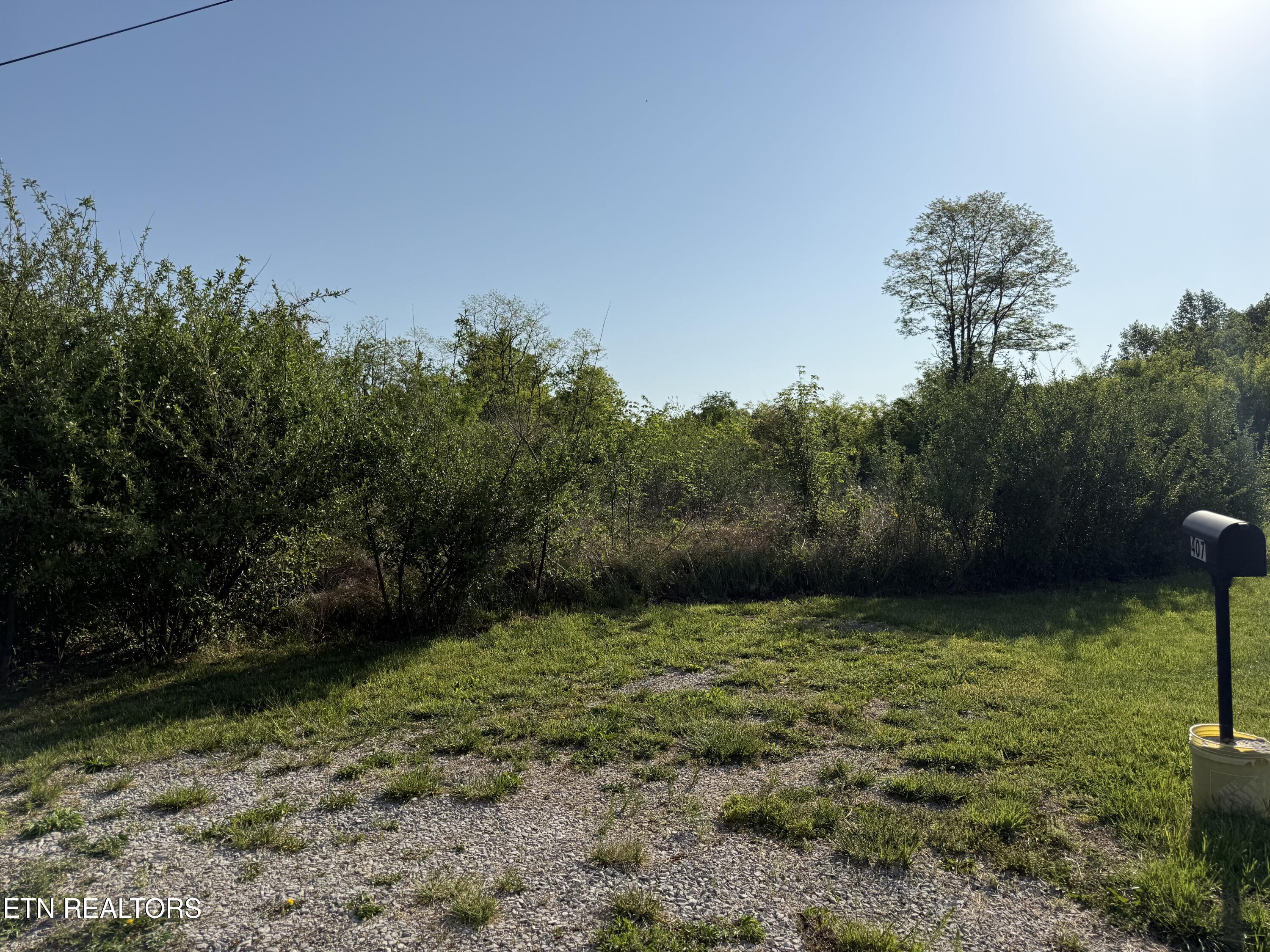 Racoon Lane Pioneer TN 37847