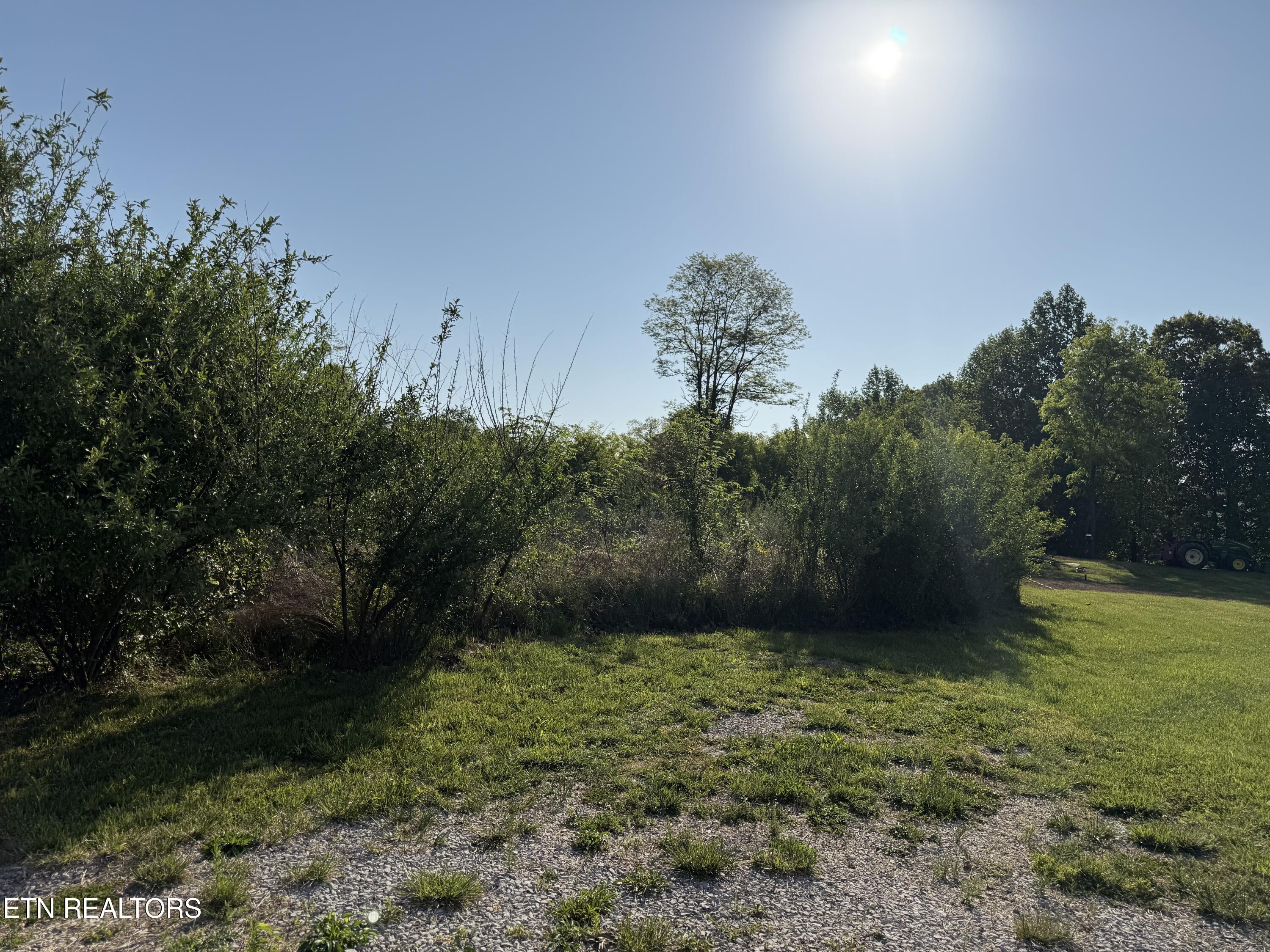 Racoon Lane Pioneer TN 37847