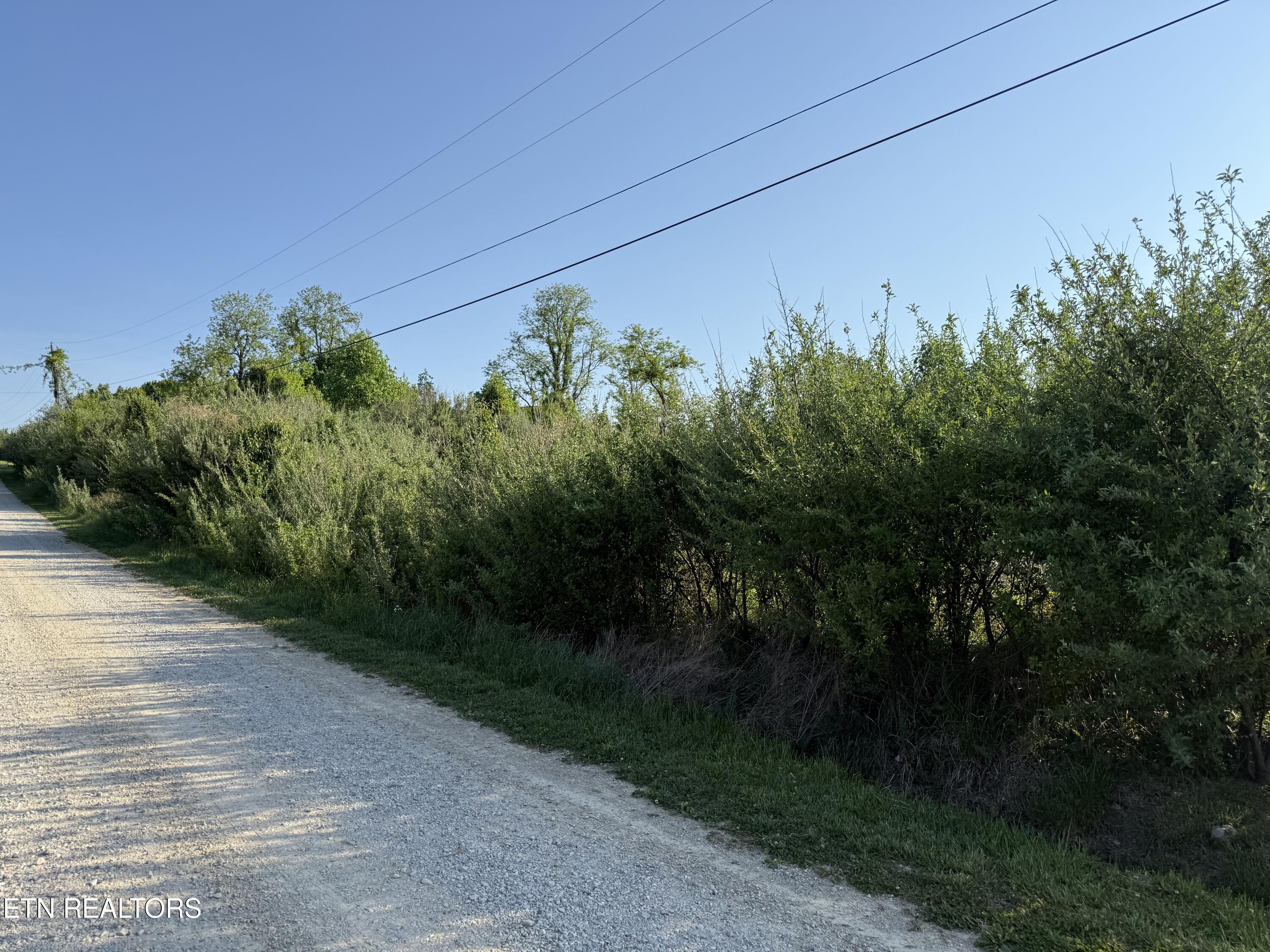 Racoon Lane Pioneer TN 37847