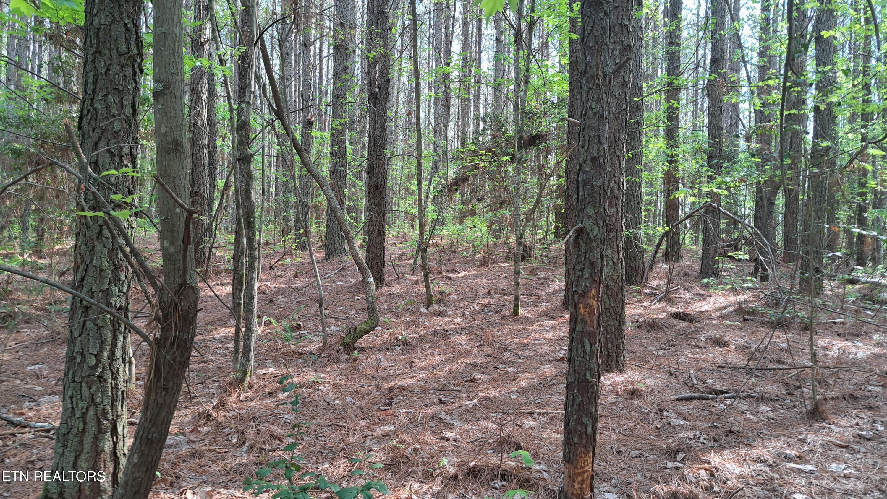 Lot 14 Airport Road (PCA) Rockwood TN 37854