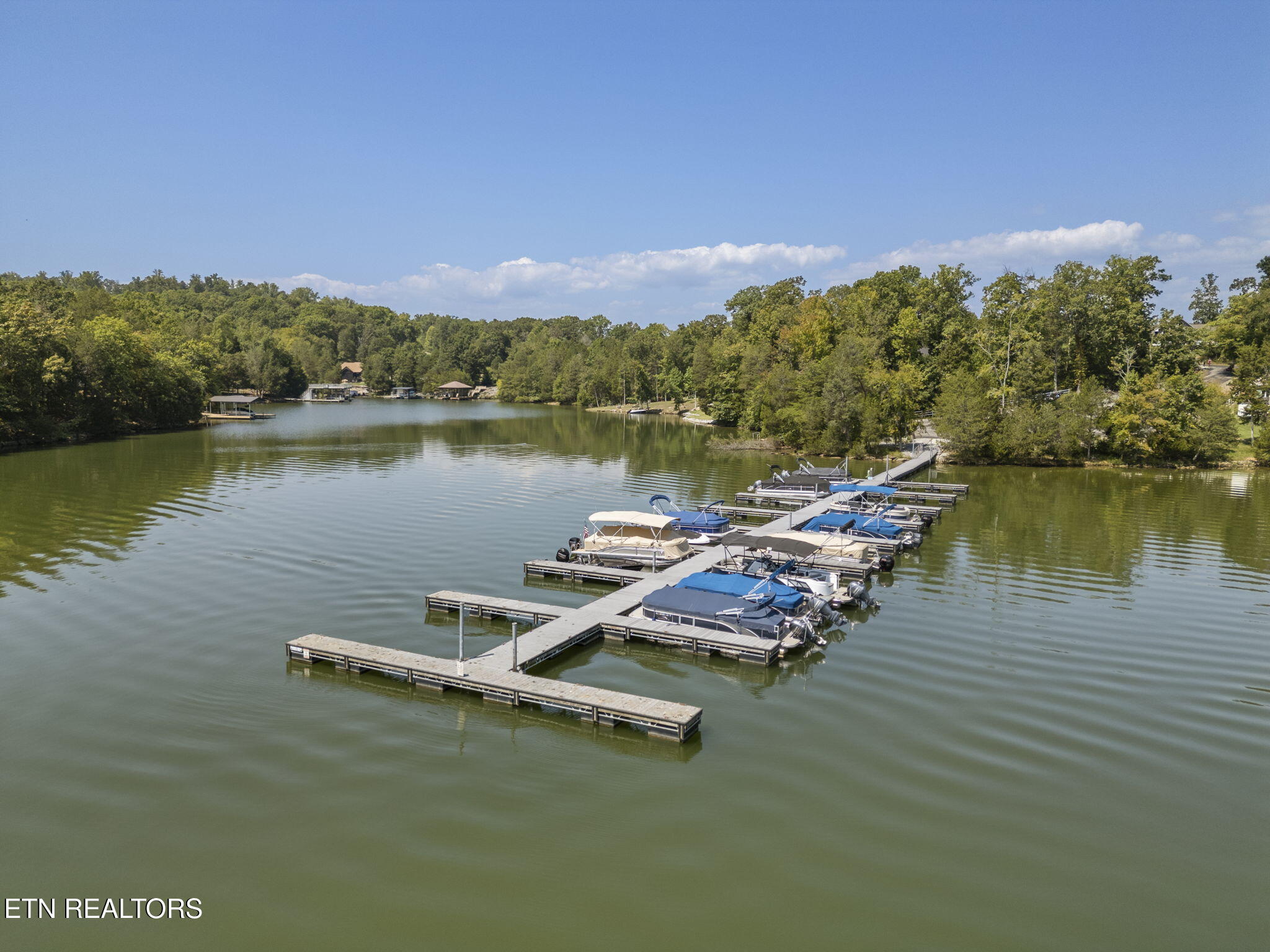 164 E Shore Drive Rockwood TN 37854