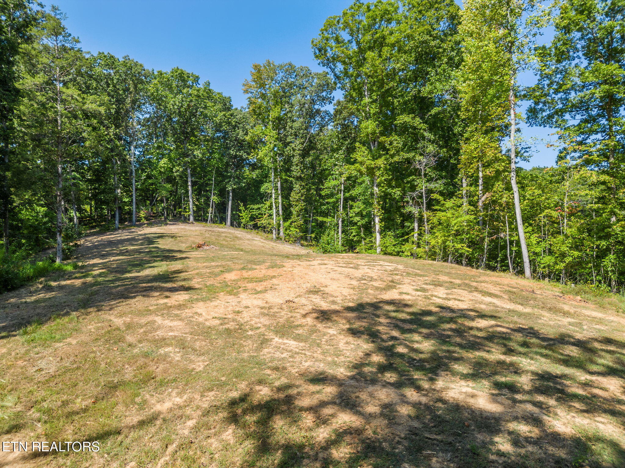 164 E Shore Drive Rockwood TN 37854