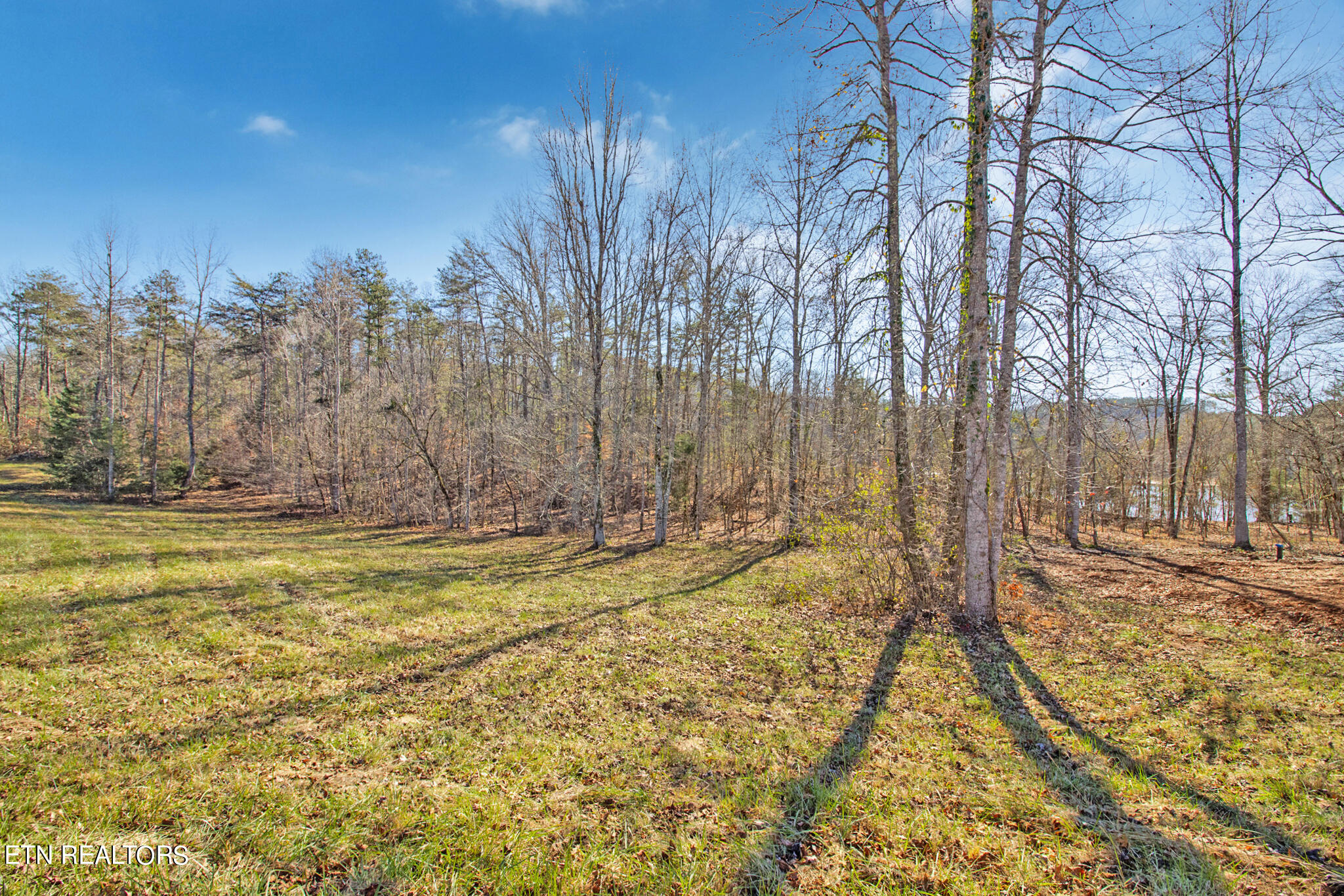 130 Clearwater Cove Drive Madisonville TN 37354