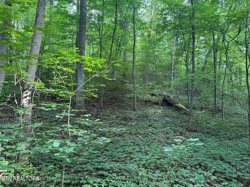 198 Mckinney Road Harriman TN 37748