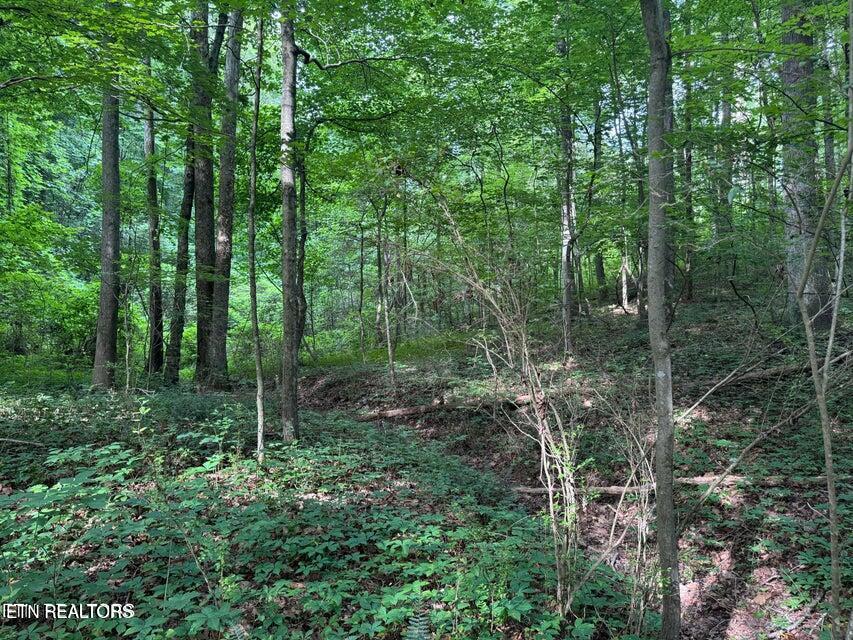 198 Mckinney Road Harriman TN 37748