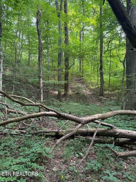 198 Mckinney Road Harriman TN 37748