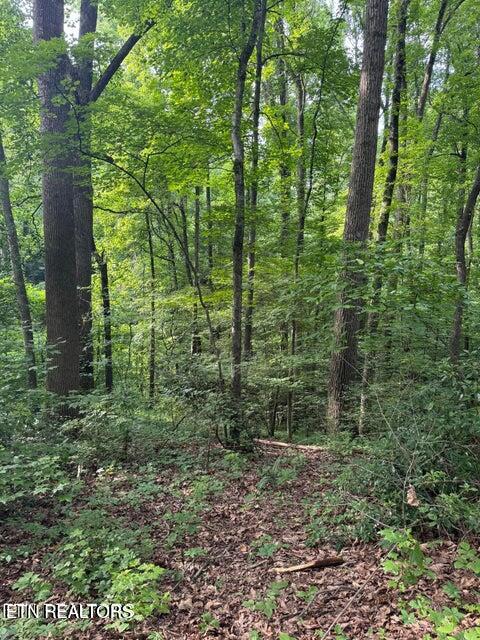 198 Mckinney Road Harriman TN 37748