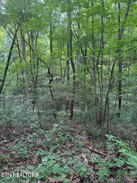 198 Mckinney Road Harriman TN 37748
