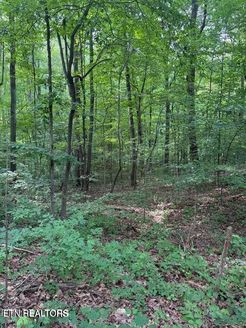 198 Mckinney Road Harriman TN 37748