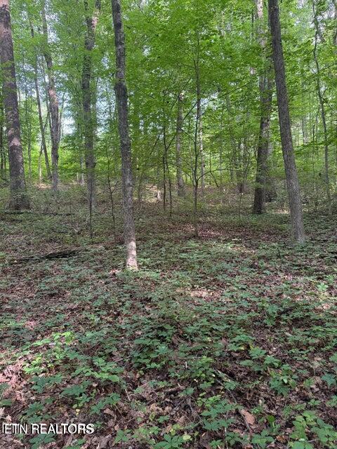 198 Mckinney Road Harriman TN 37748