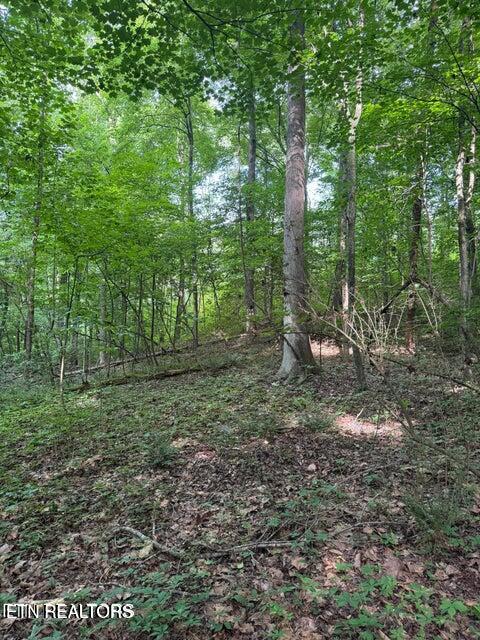 198 Mckinney Road Harriman TN 37748