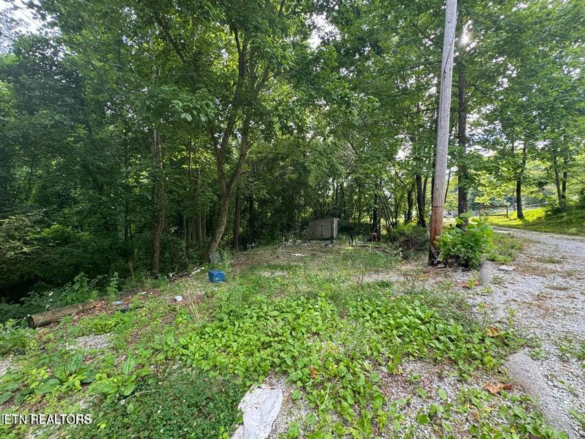 198 Mckinney Road Harriman TN 37748