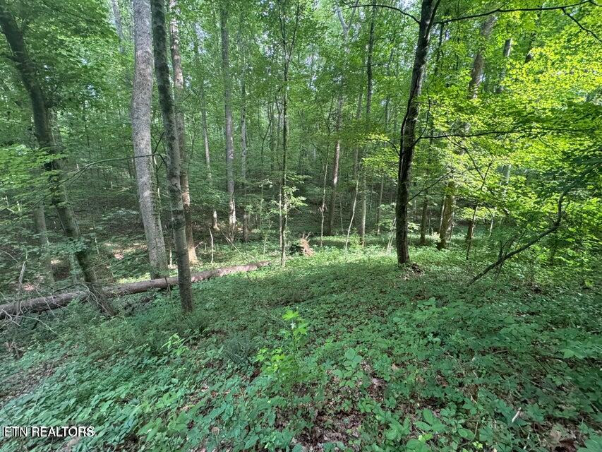 198 Mckinney Road Harriman TN 37748