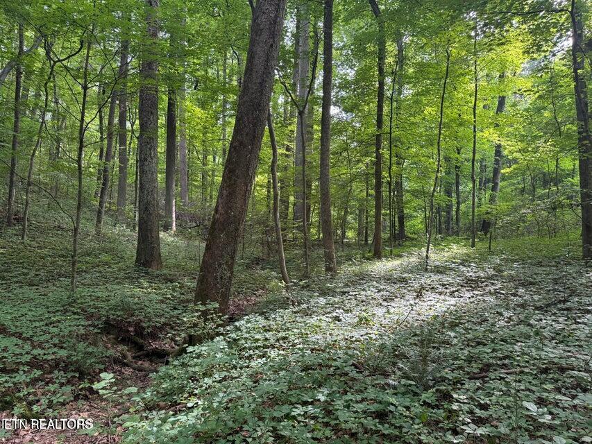 198 Mckinney Road Harriman TN 37748