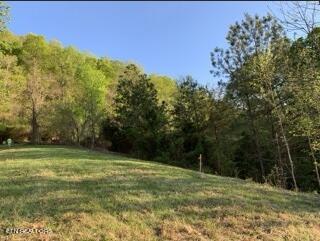 Lot 93 Swan Song Trail Sharps Chapel TN 37866