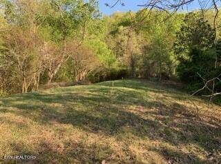Lot 93 Swan Song Trail Sharps Chapel TN 37866
