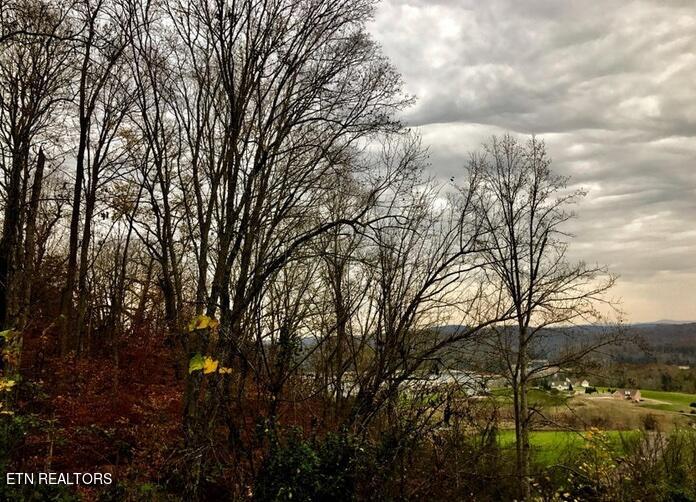 Lot 93 Swan Song Trail Sharps Chapel TN 37866