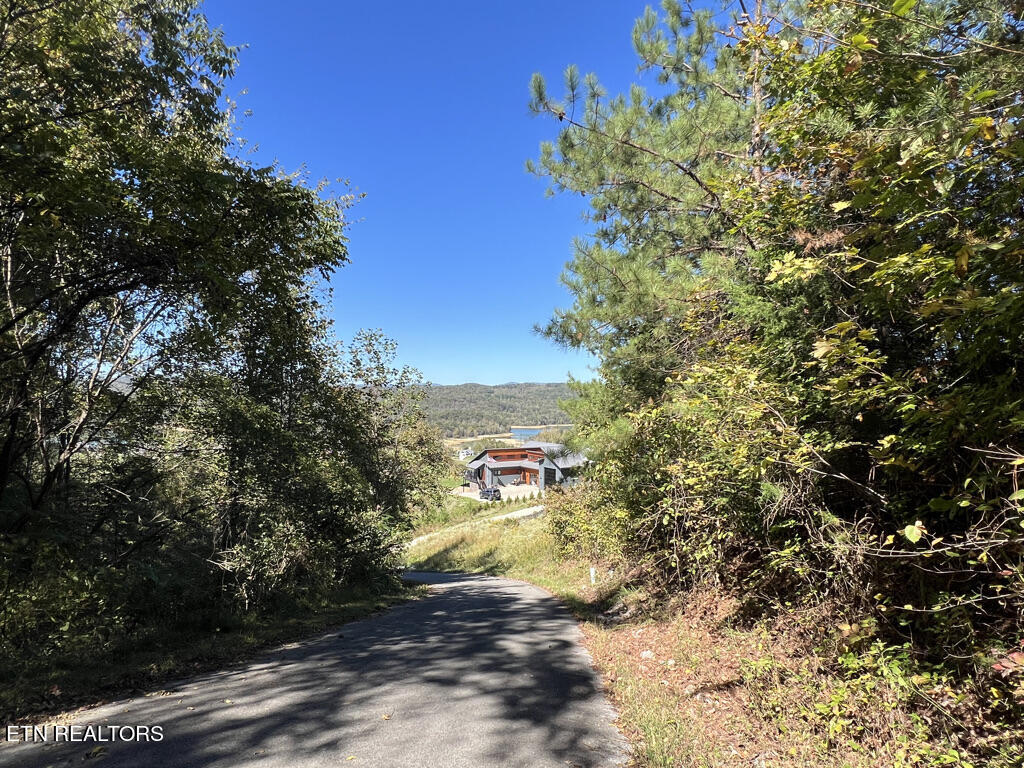 Lot 93 Swan Song Trail Sharps Chapel TN 37866