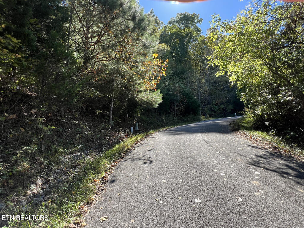 Lot 93 Swan Song Trail Sharps Chapel TN 37866