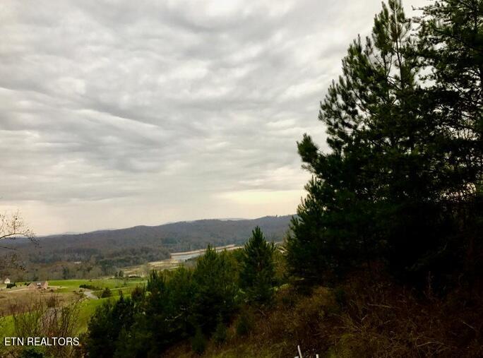 Lot 93 Swan Song Trail Sharps Chapel TN 37866