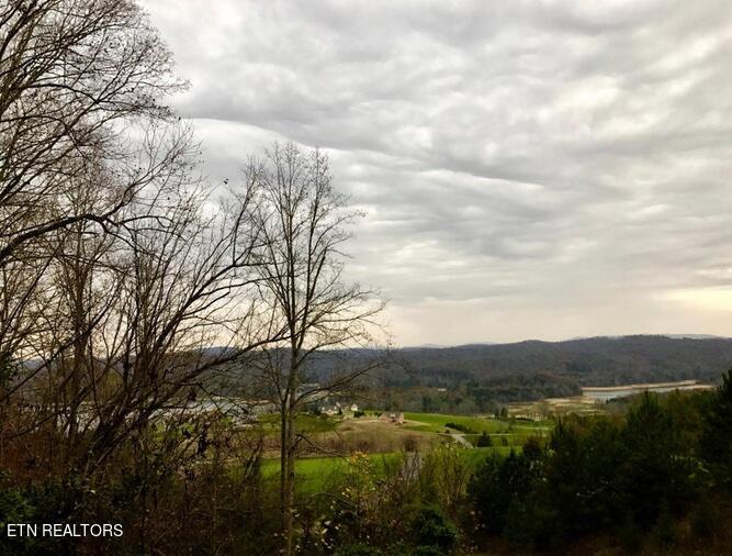 Lot 93 Swan Song Trail Sharps Chapel TN 37866