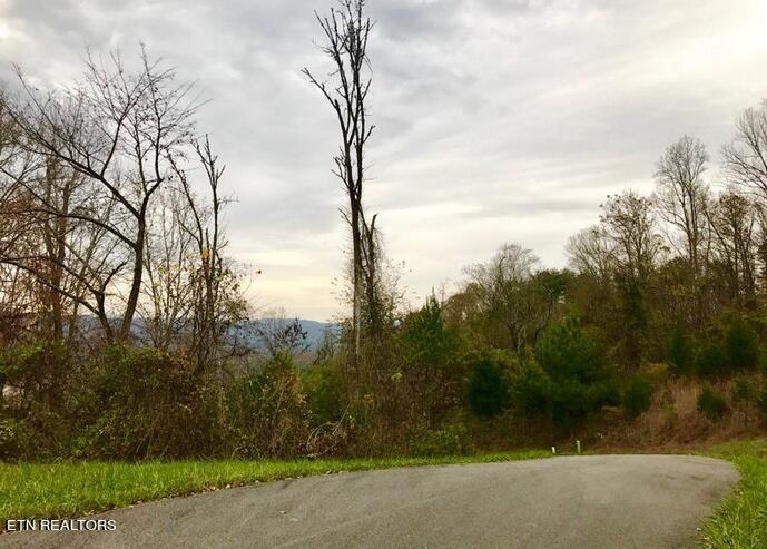 Lot 93 Swan Song Trail Sharps Chapel TN 37866