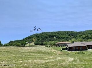Lot 93 Swan Song Trail Sharps Chapel TN 37866