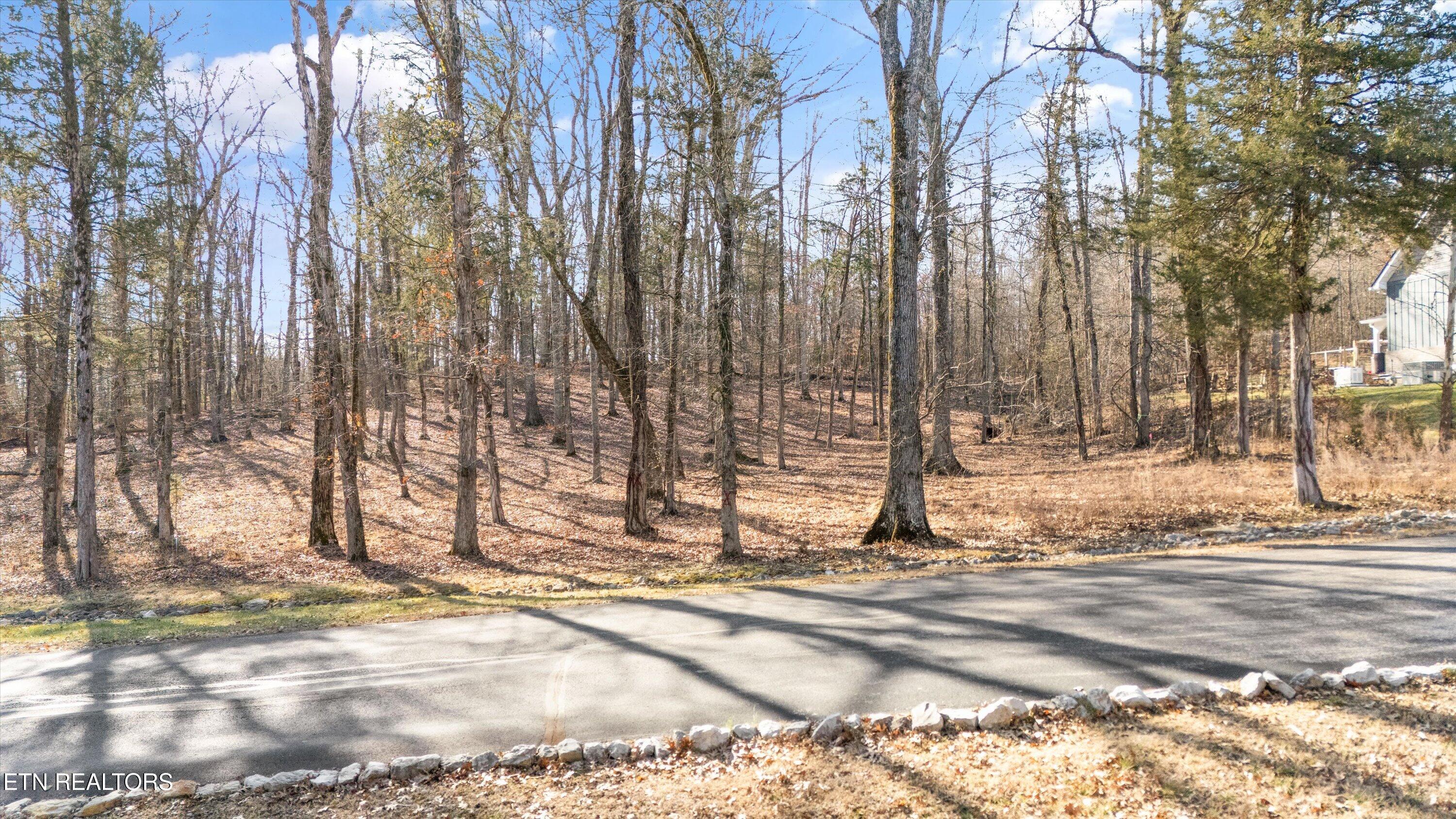 378 Walking Horse Trail Rockwood TN 37854