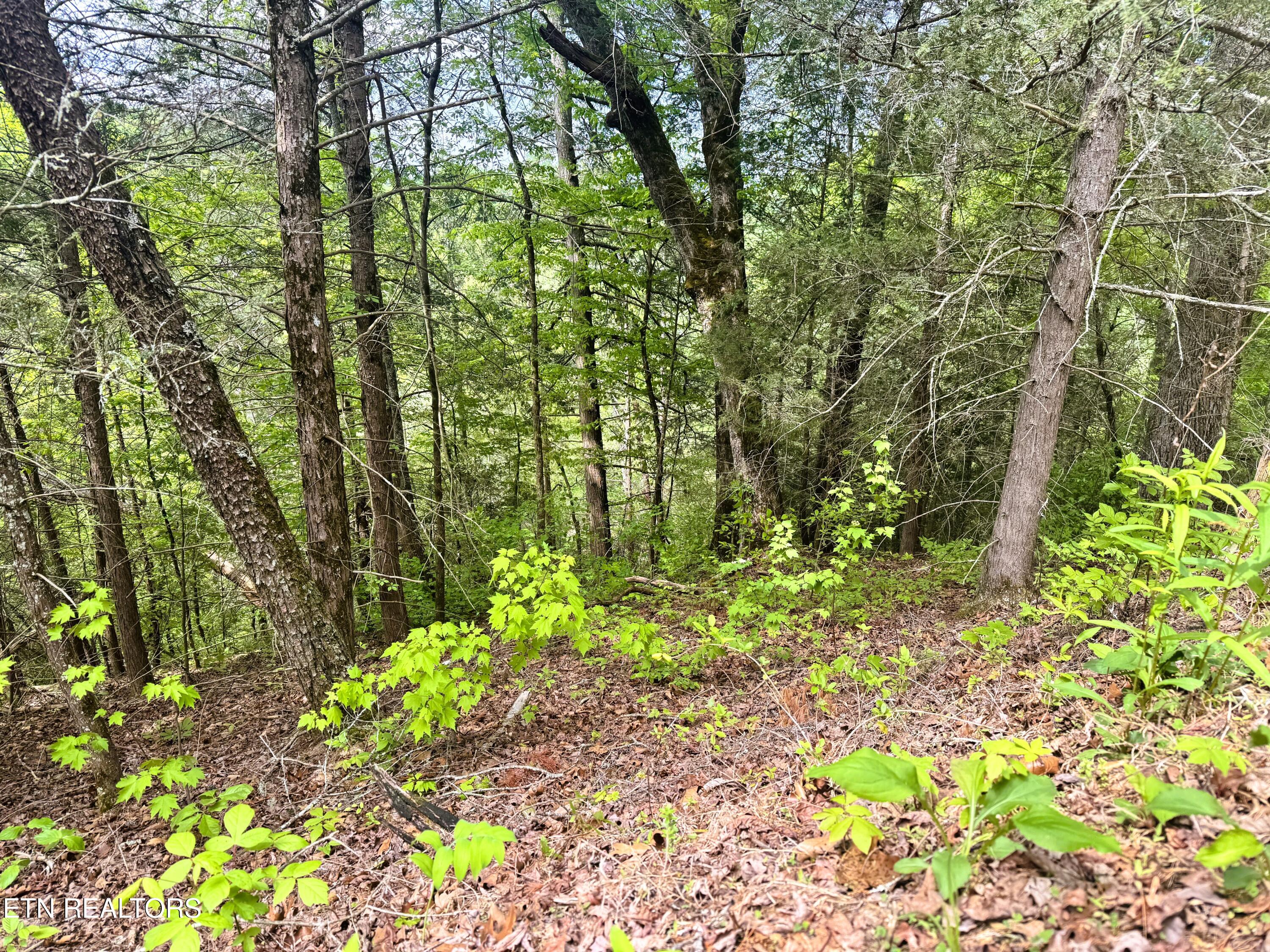 Montevallo Road Sevierville TN 37876