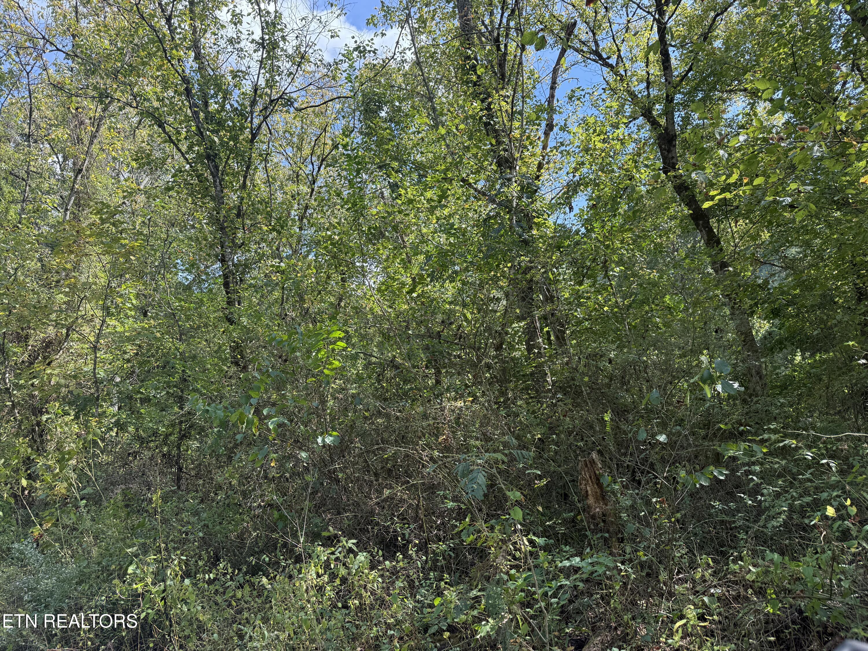 Kenwood Lane Lafollette TN 37766