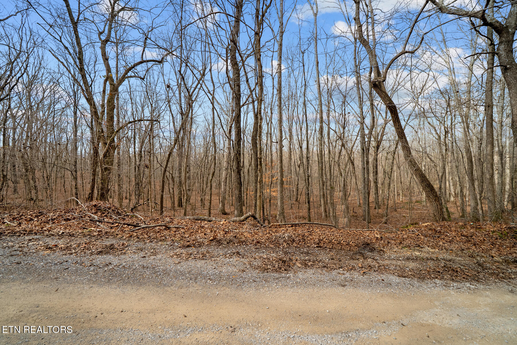 20 Acres Barbee Cemetery Road Pikeville TN 37367