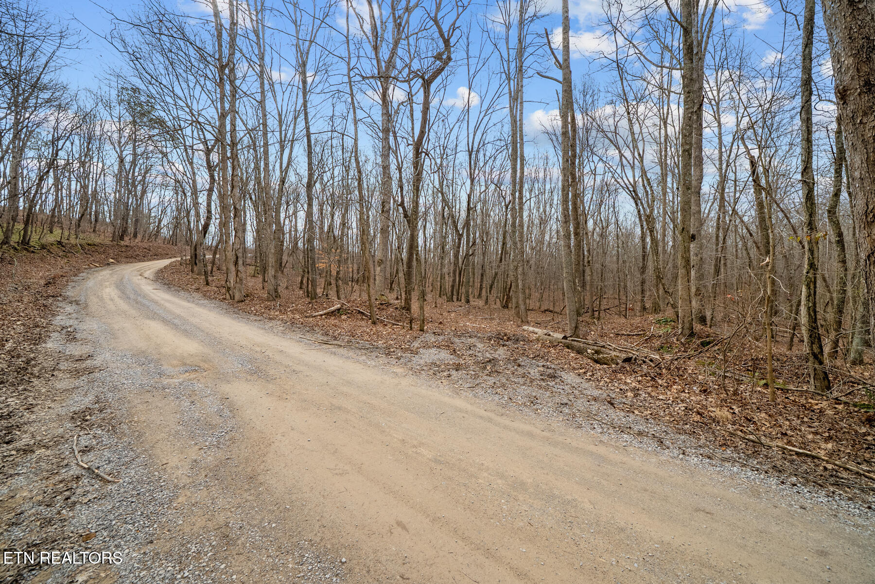 20 Acres Barbee Cemetery Road Pikeville TN 37367