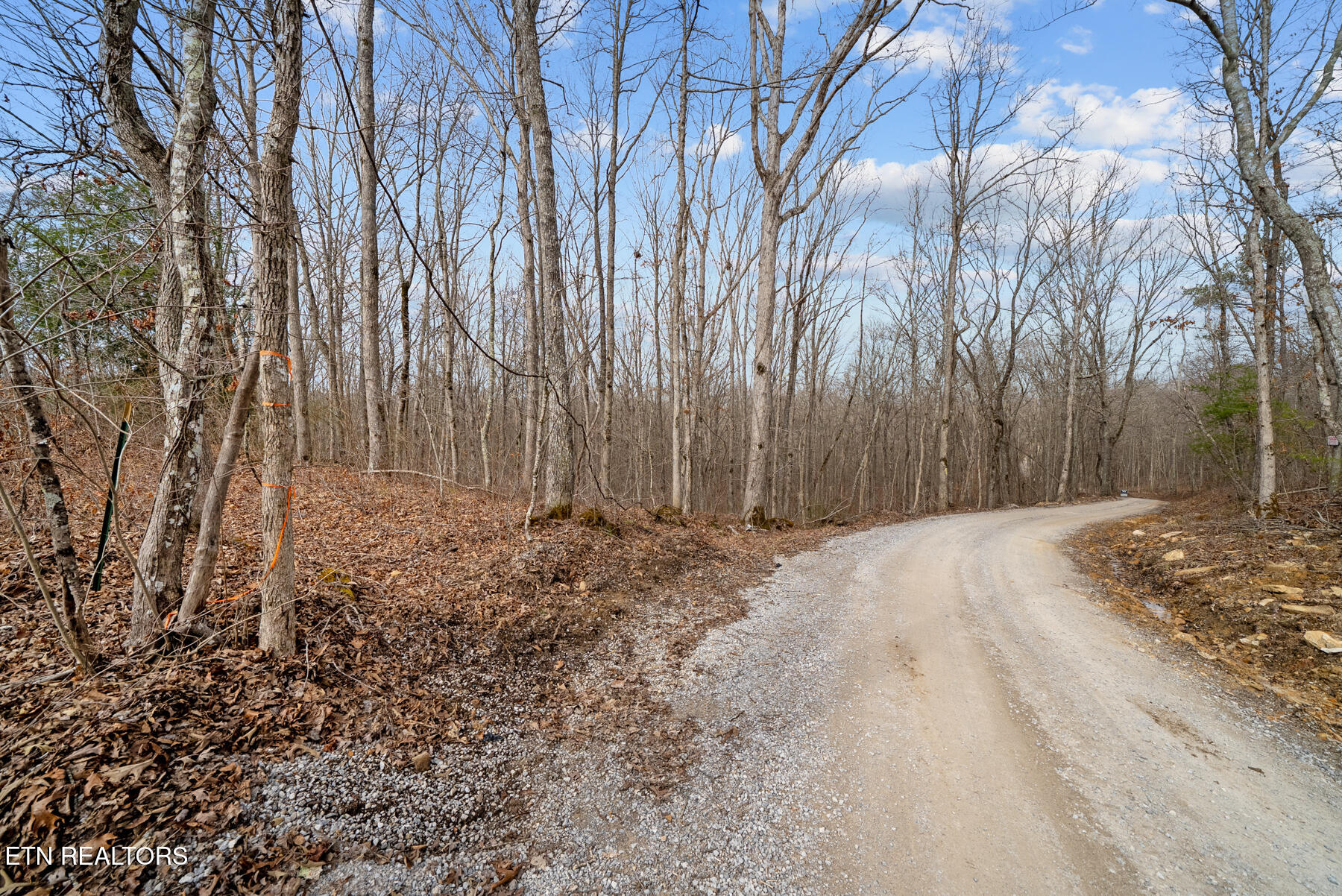 20 Acres Barbee Cemetery Road Pikeville TN 37367