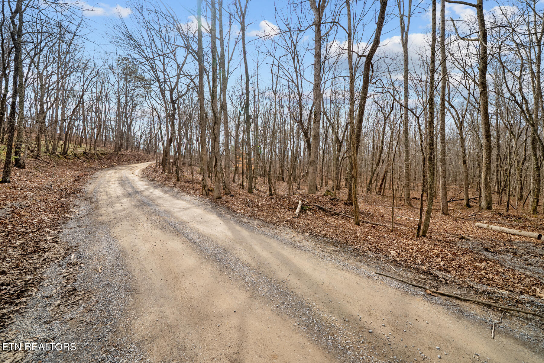 20 Acres Barbee Cemetery Road Pikeville TN 37367