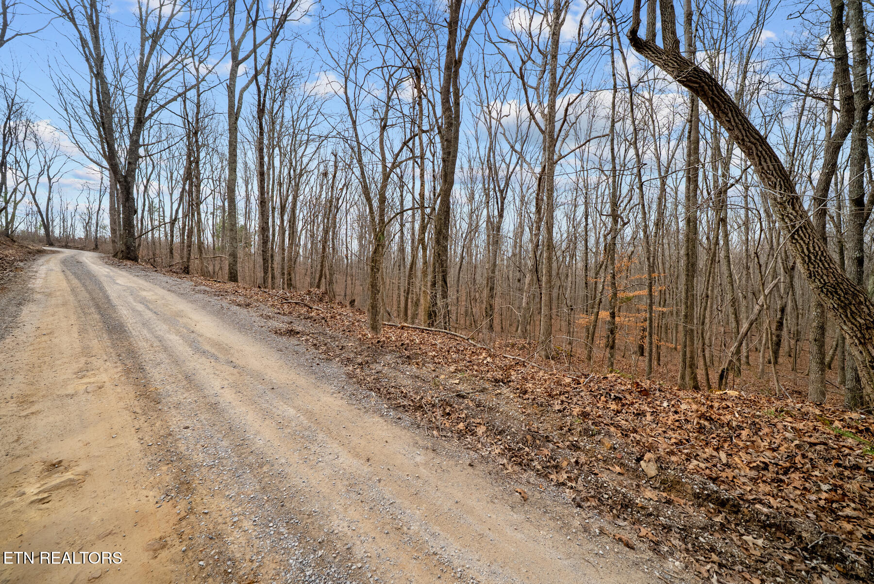20 Acres Barbee Cemetery Road Pikeville TN 37367