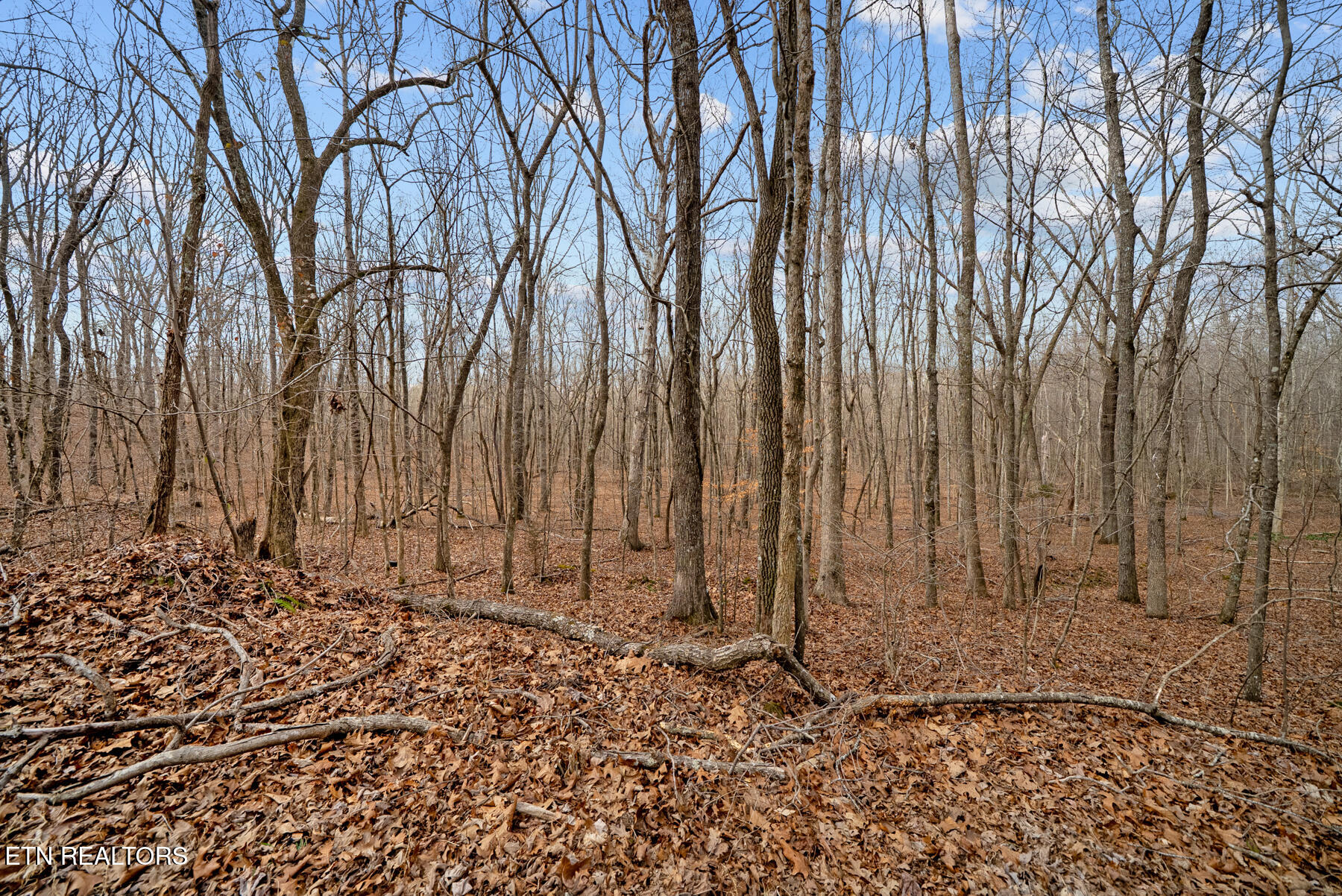 20 Acres Barbee Cemetery Road Pikeville TN 37367
