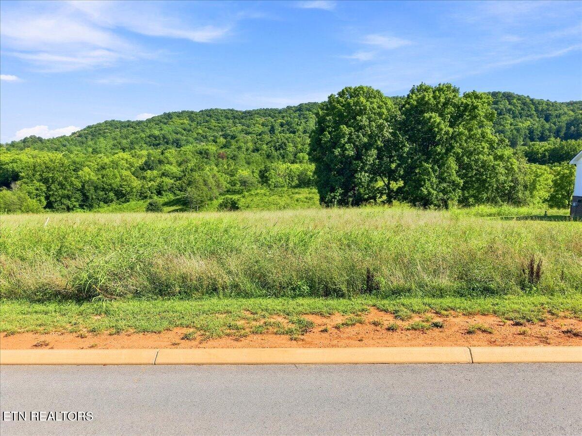 Lot 28 Waterfront Knoll Sharps Chapel TN 37866